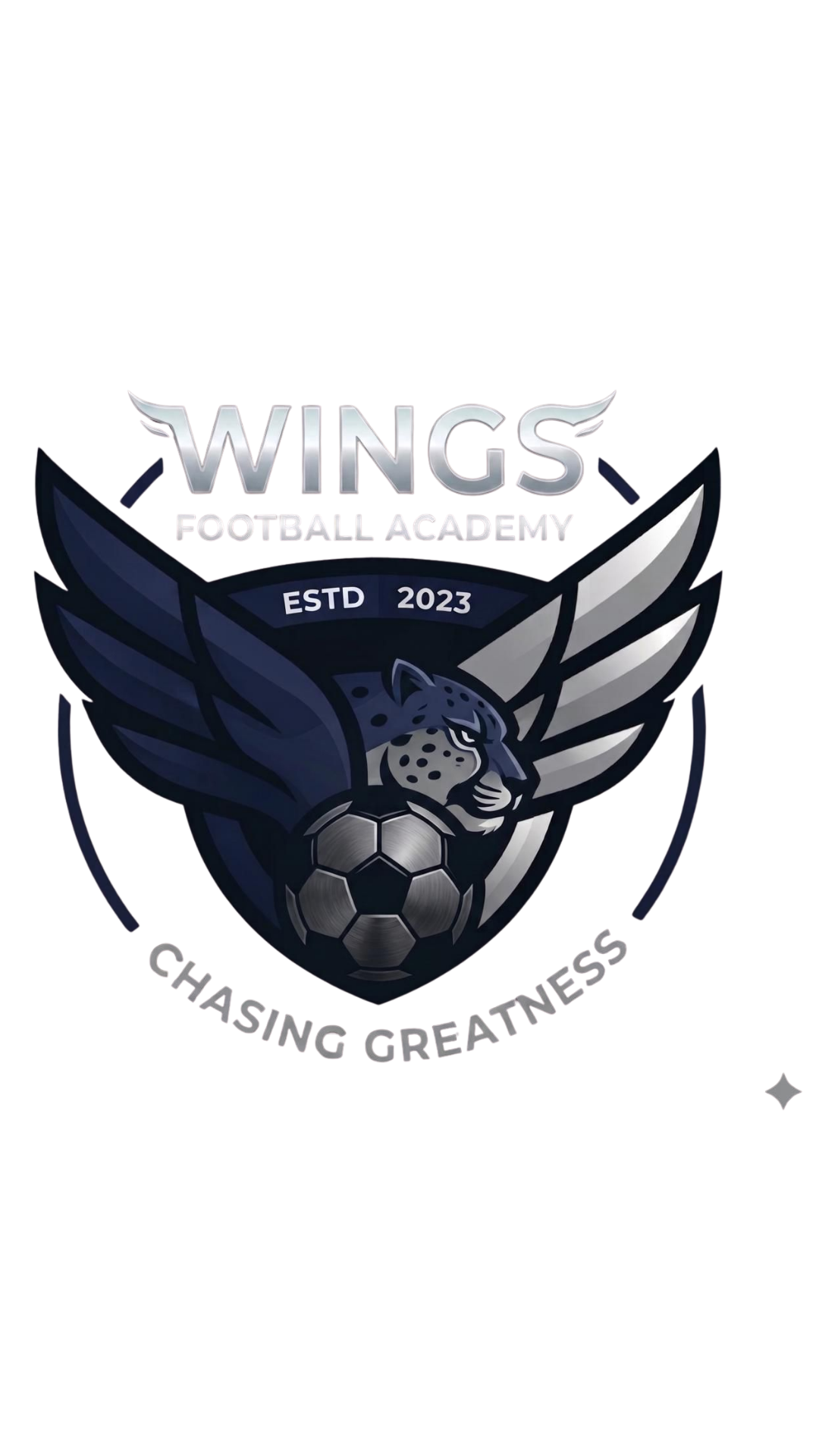 WINGS FOOTBALL ACADEMY